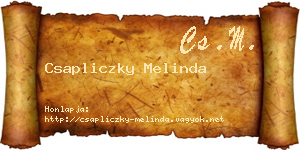 Csapliczky Melinda névjegykártya